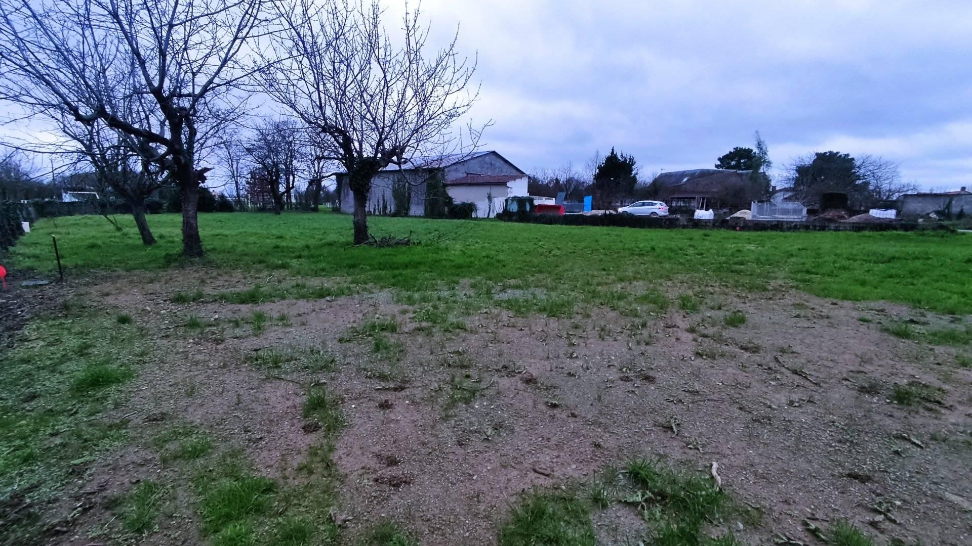 Photo du bien immobilier