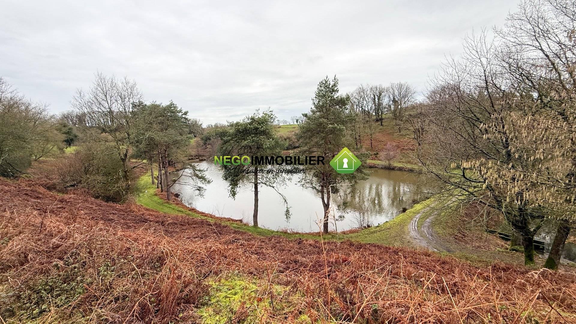 Photo du bien immobilier